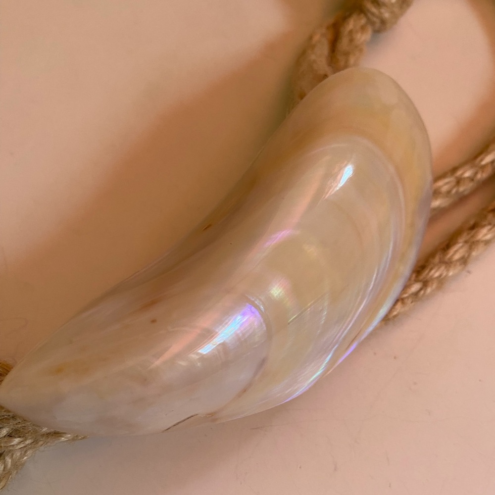 Belt- Elegant Cream Shell - Picture 3 of 11